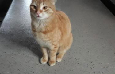 Ferienbauernhof Rosenberger - Foto 24