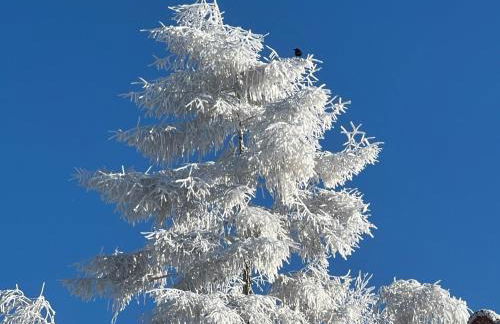 Appartement Bergwaerts - Foto 35