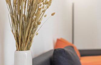 C8 Loft - direkt in der Altstadt inkl Parkplatz - Foto 9