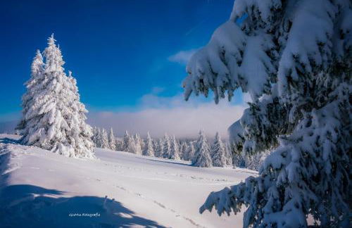 FEWO zum gscheiten Beck mit Garten - Foto 22