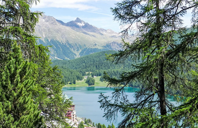 Chesa Cripels I - Foto 5