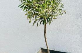 Das Auental-Appartment - Foto 27