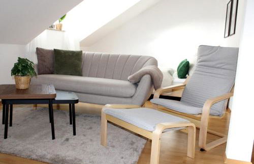 GlückAufBud Schwarzenberg WLAN Netflix Stellplatz - Foto 6