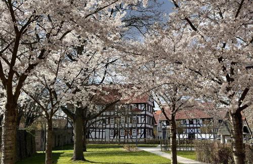 Ferien im Alten Pfarrhaus - Foto 18