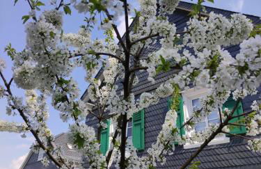 FEWO Hückeswagen "Das Historische" - Foto 29