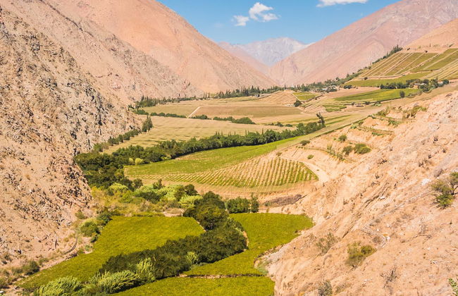 Elqui Valley Tour - Photo 1
