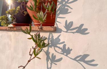 Apartamento Atalantar - Photo 49