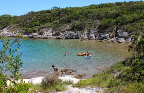 Apartments with parking space Sveti Jakov, Losinj - 8011 - Foto 5