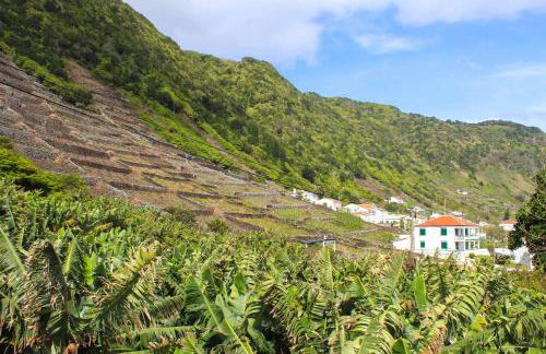 Casa dos Magalhães - Foto 47