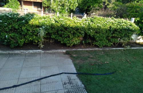 Casa da Vovó Rute - Foto 10