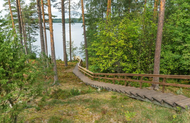 Metsä-iivari - Foto 5