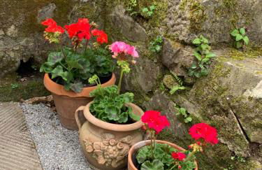 Vrijstaand vakantiehuis La Piccigliana - 6 personen - Foto 36