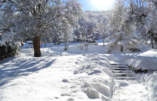 Hôtel et Appart'Hôtel Restaurant L'Adray - Foto 94