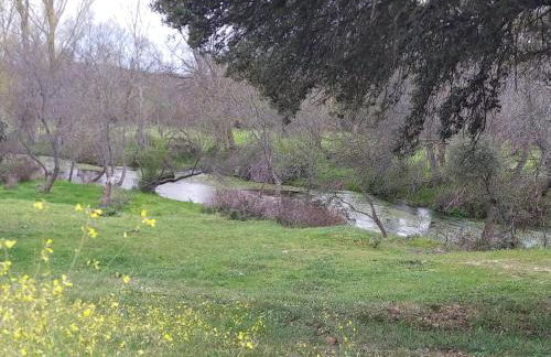 El rincón del molino - Foto 18