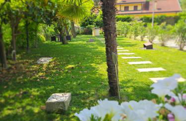 De Rerum Natura - Foto 37