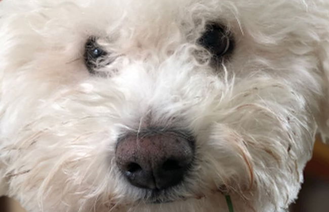 Detached 3 Bed House, Ideal for Long Stays & Pets - Foto 1