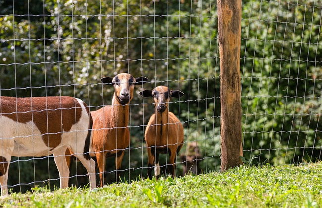 Apartment Near the Koralpe ski Area - Foto 32