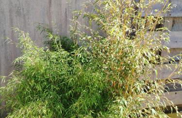 Chez Cristele et David - Foto 6