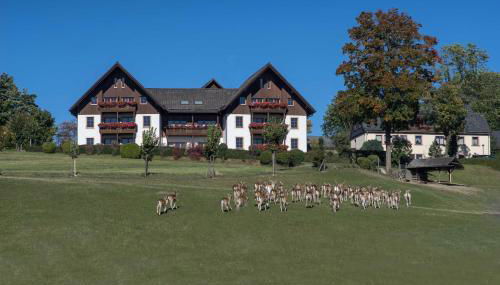 Ferienappartements Rausch - Foto 1, Garden