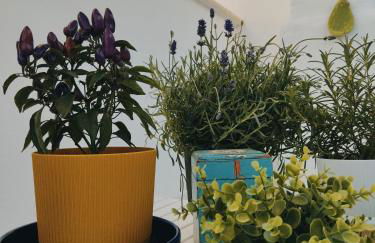 Casa De Amicis - Foto 36