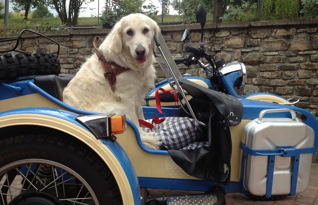 Agriturismo Azienda Agricola Bortolotti - Foto 29