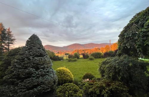 NaszjestWasz - Foto 5