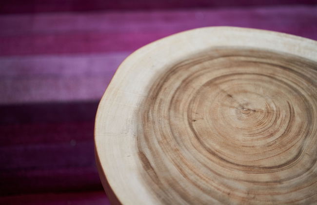 Podere Sant'Antonio - Foto 35