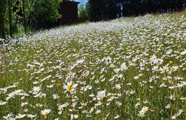Ferienwohnung in Oberfranken mit Garten - Foto 34