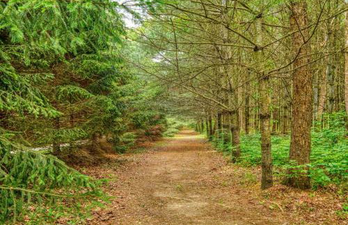 Swaying Pines Cabin w/EV Charger - Foto 28