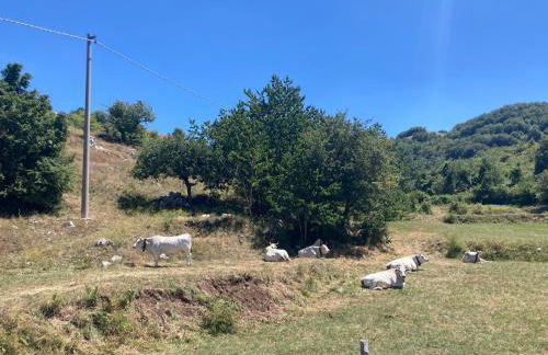 “Molise” Four Seasons - Foto 22