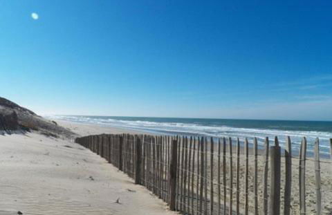 Piscine intérieure Spa privatif, parc arboré 3000 m2, océan et lac - Photo 19