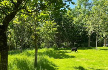 Devon Country Retreat The Linhay at Collaton Farm - Foto 13