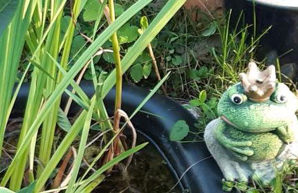 Ferienwohnung Sonnleite - Foto 12