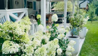 Domek holenderski Hampton - Foto 5