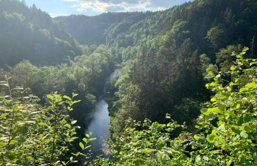 Schwarzwaldmarie Ferienwohnung - Foto 28