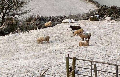 Hillhead Country Retreat - Photo 40