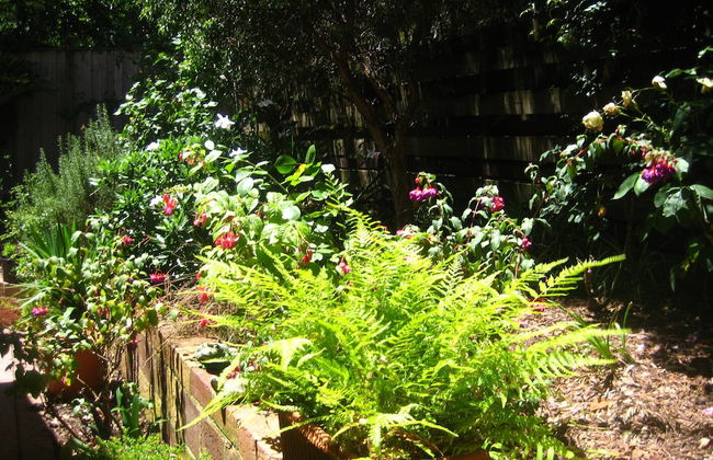 Bungunyah Apartments - Foto 38