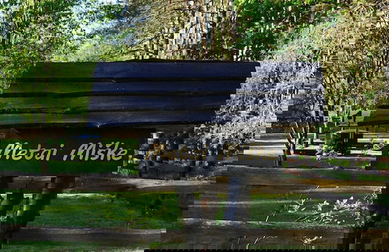 Metai Miške&a Year in the Forest - Photo 21