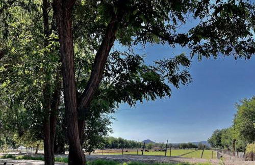 2 bed, yard, pet friendly in Historic Mesilla. - Foto 13