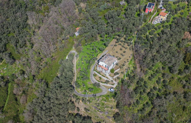 Sorvegallo - Foto 26