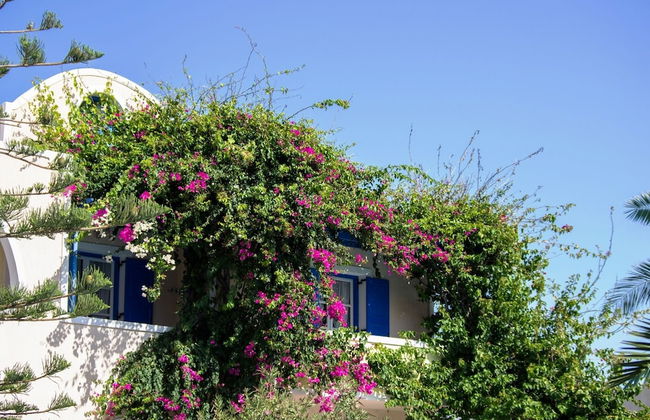 Paradise Resort - Foto 58