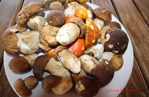 Agriturismo Zio Cristoforo - Foto 13