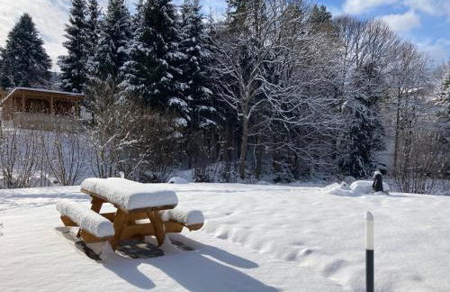 La cabane des écureuils - Foto 6