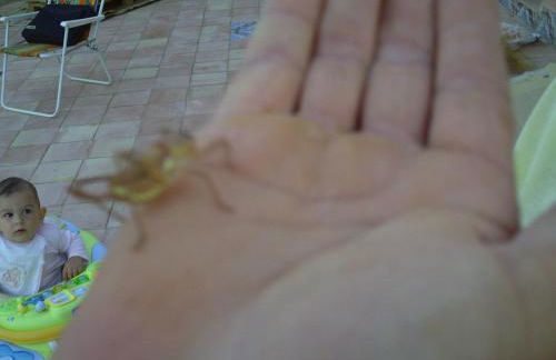 Agriturismo San Pietro - Foto 83