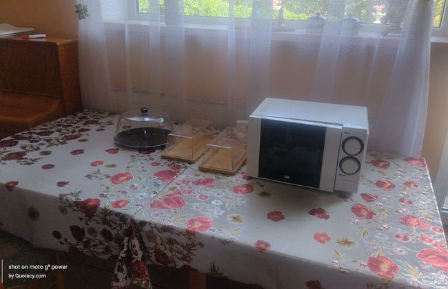 Agroletnica Country house - Foto 44