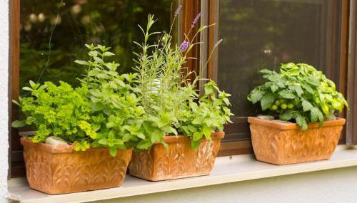 Erholung im Main-Tauber-Kreis - Foto 5