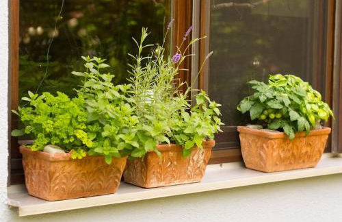 Erholung im Main-Tauber-Kreis - Foto 5