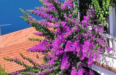 Villa Luma Apartments - Foto 1