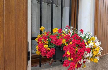 miniapp. a 2 km da Pedavena - Foto 11