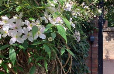 Beautiful Georgian cottage within a private walled garden - Foto 41